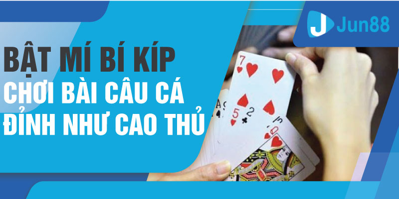 Bật mí bí kíp chơi bài câu cá đỉnh như cao thủ