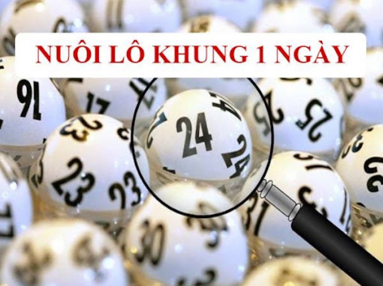 Nuôi khung 1 ngày là gì? 